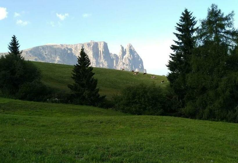 Casaviva   Grazioso Bilocale All’alpe Di Siusi