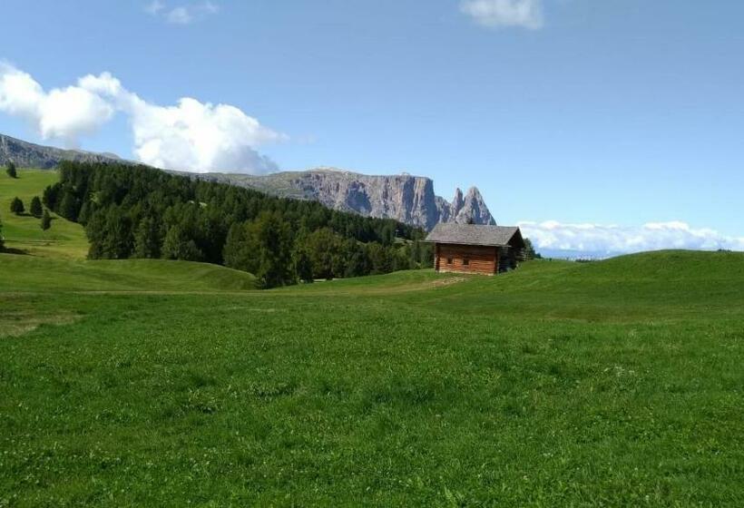 Casaviva   Grazioso Bilocale All’alpe Di Siusi