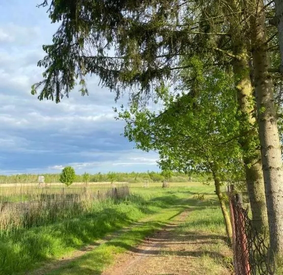 Ferienhaus Am Seegrund