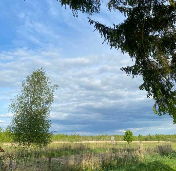 Ferienhaus Am Seegrund