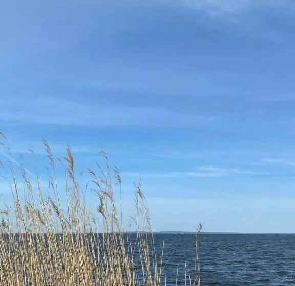 Ferienhaus Am Seegrund