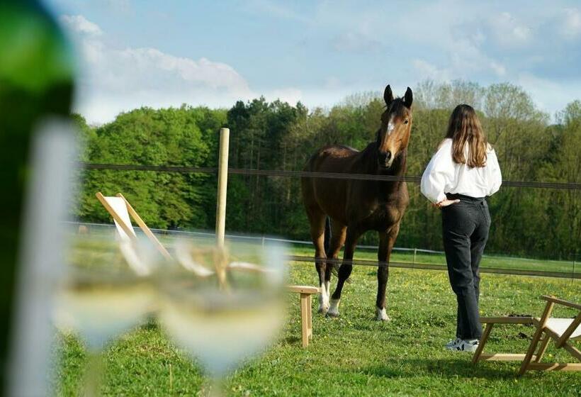Tiny House Centre équestre 35 Mins De Paris