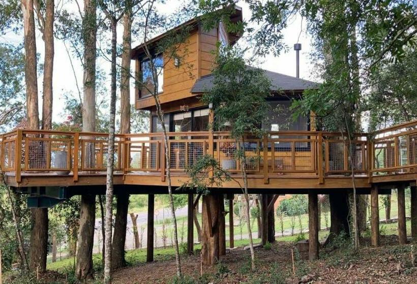 Casa Na árvore Morada Dos Vagalumes