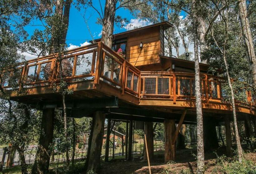 Casa Na árvore Morada Dos Vagalumes