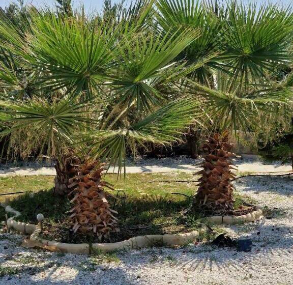 Magnolia Captains House With A Pool