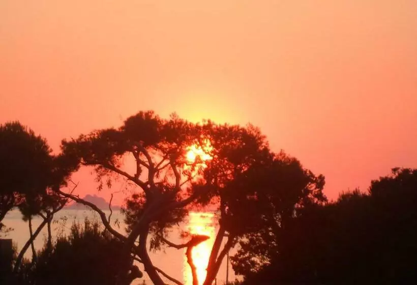 Appartement Vue Sur Mer