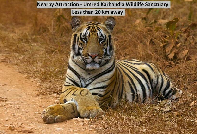 Oyo Home 86186 Anandmala