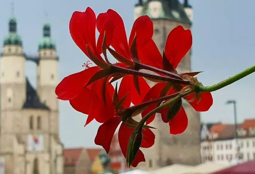 Budget Rooms In Halle With Shared Bathroom, Free Wifi, Netflix & Ipad