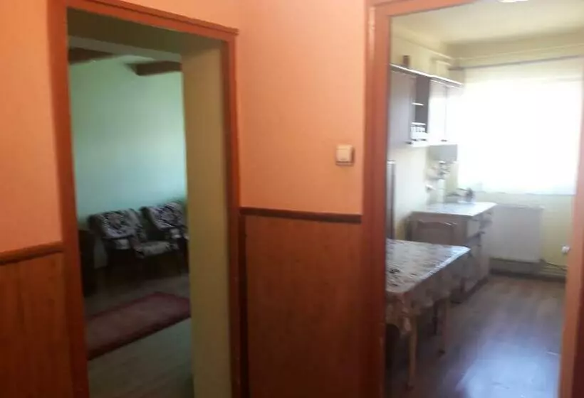 Apartament La Ilie