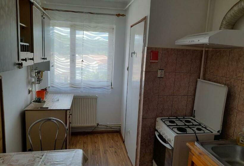 Apartament La Ilie
