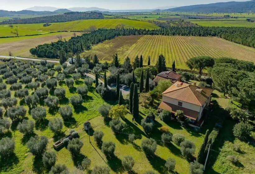 Affitti Brevi Toscana A Due Passi Dal Mare