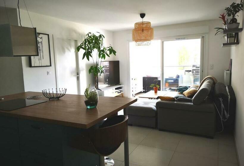 Agréable T2 Neuf Ajaccio Climatisé Wi Fi