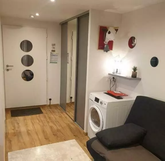 Le 67,ski Et Randonnée,lave Linge,sèche Linge,parking