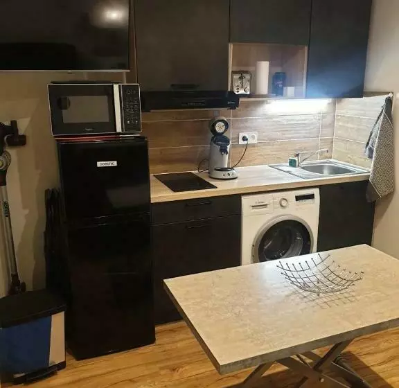 Le 67,ski Et Randonnée,lave Linge,sèche Linge,parking