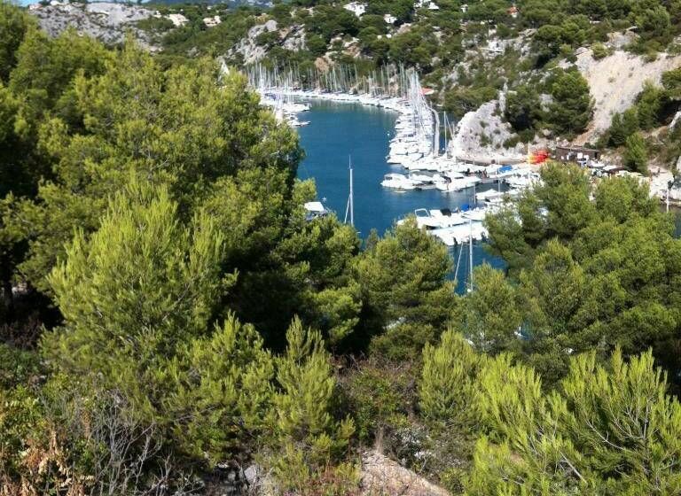 Le Provencal   Hyper Centre   Clim   Terrasse