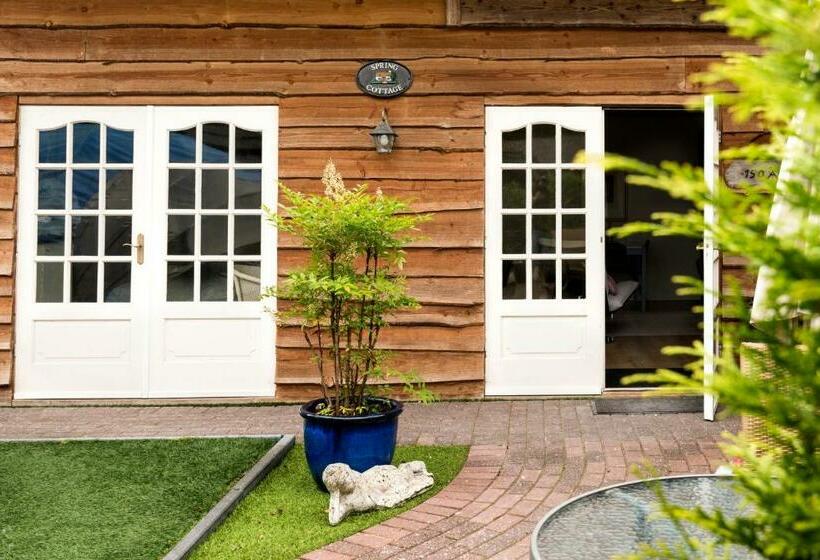 Celebration Wellnesshuisje