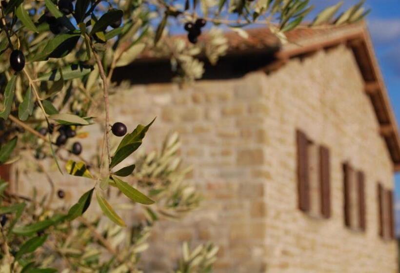 Agriturismo Villa Sant  Andrea