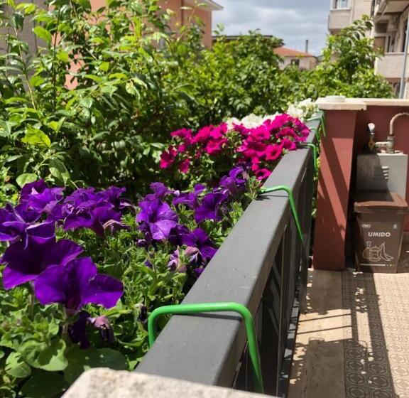 In Viaggio Come A Casa Vicino Alla Stazione, Ltscalo!