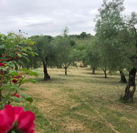 In Viaggio Come A Casa Vicino Alla Stazione, Ltscalo!