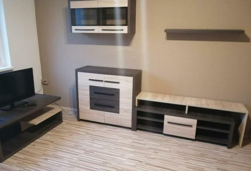 Byt 1+1 V Karlových Varech