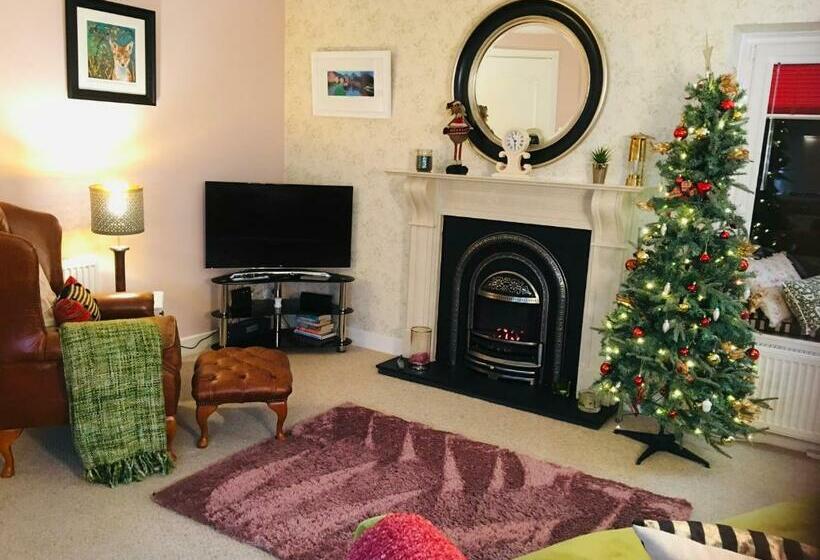 The Little Beech Tree