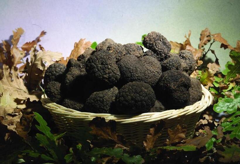 Cottoni Natural Space