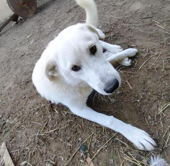 Cottoni Natural Space