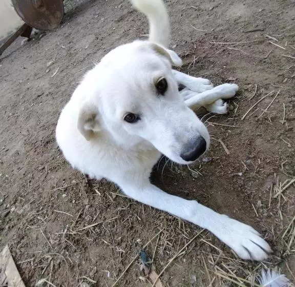 Cottoni Natural Space