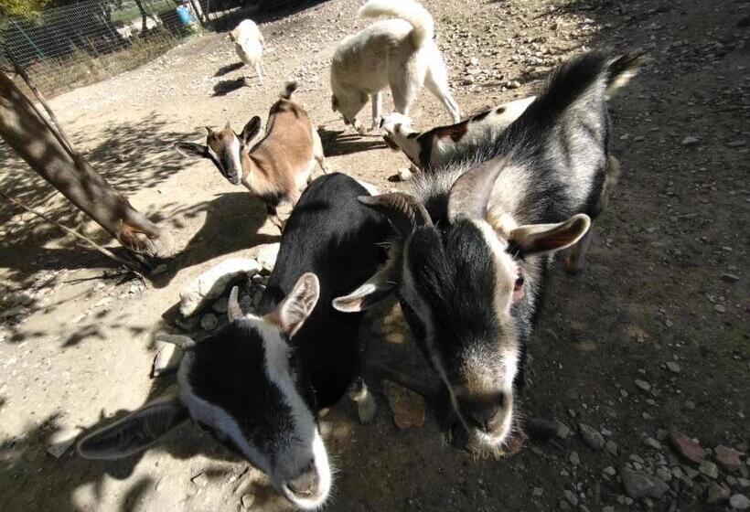 Cottoni Natural Space