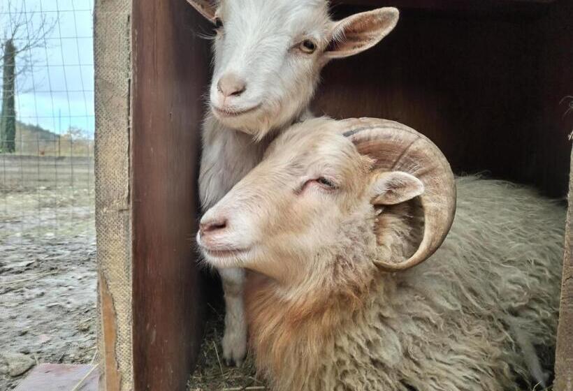 Cottoni Natural Space