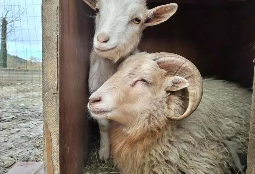 Cottoni Natural Space