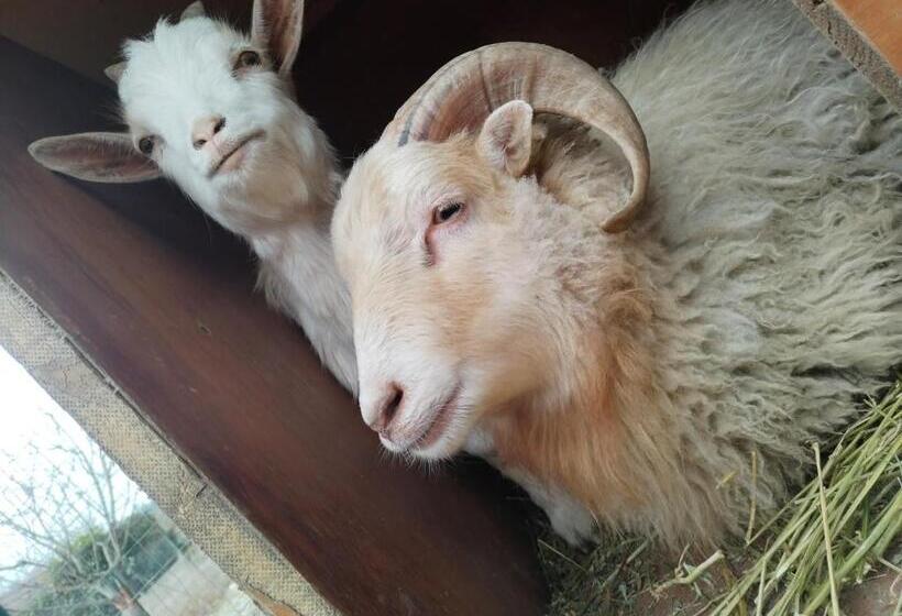 Cottoni Natural Space