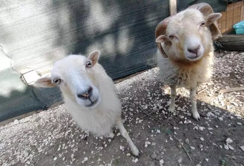 Cottoni Natural Space