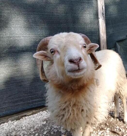 Cottoni Natural Space