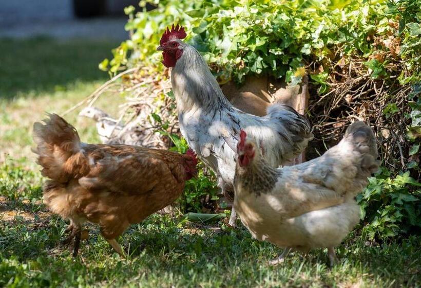 Cottoni Natural Space