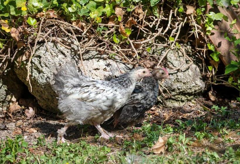 Cottoni Natural Space