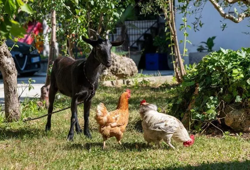 Cottoni Natural Space