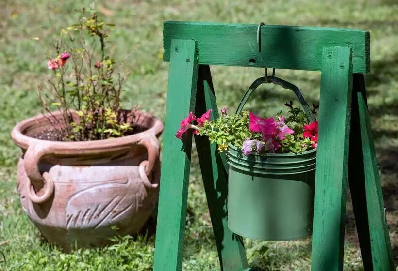 Cottoni Natural Space