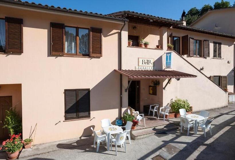 Cottoni Natural Space