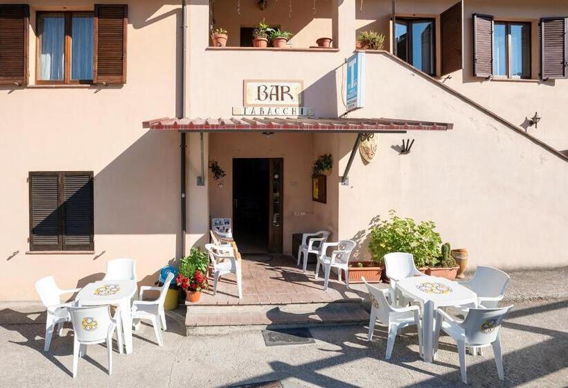 Cottoni Natural Space