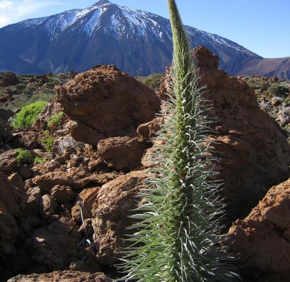 Finca Lomo De Castillo Kleines Schlösschen Am Berg