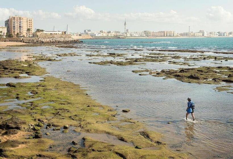 ático En El Centro Con Terraza