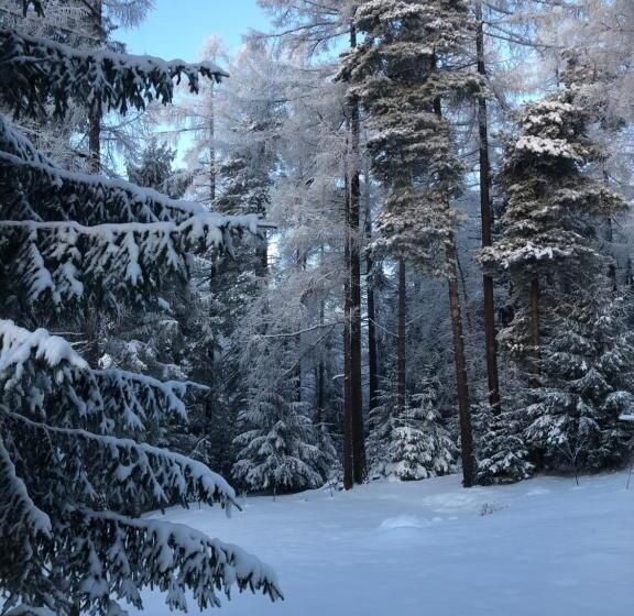 Vila Horec, Vysne Hagy