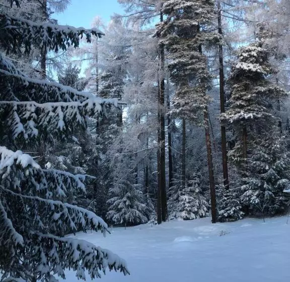 Vila Horec, Vysne Hagy