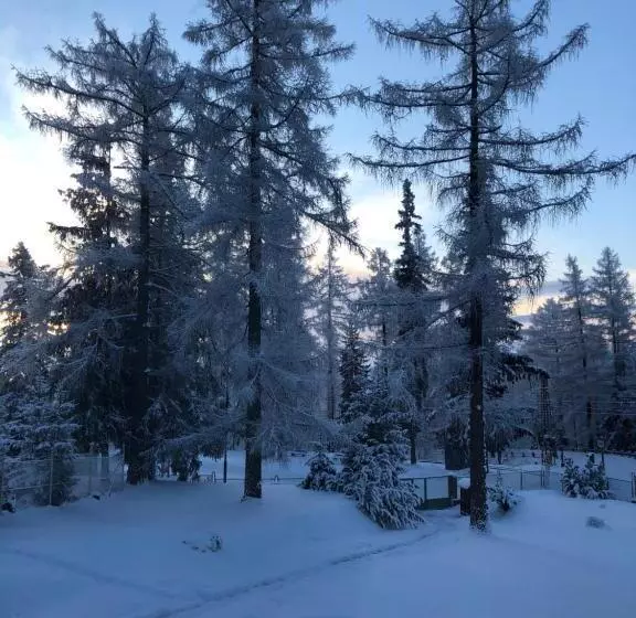 Vila Horec, Vysne Hagy