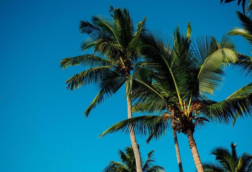 Port Chambly Mango Tree House