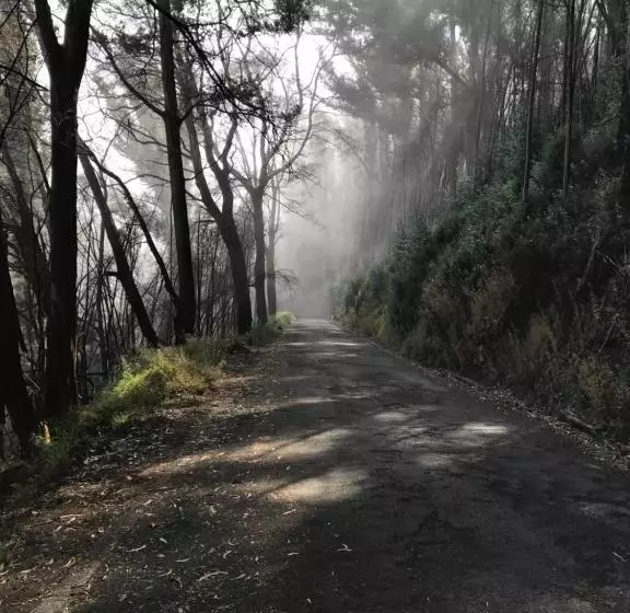 Abrigo Da Madeira