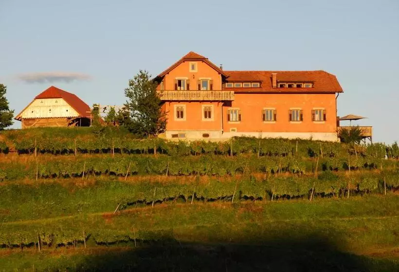 Hisa Vina