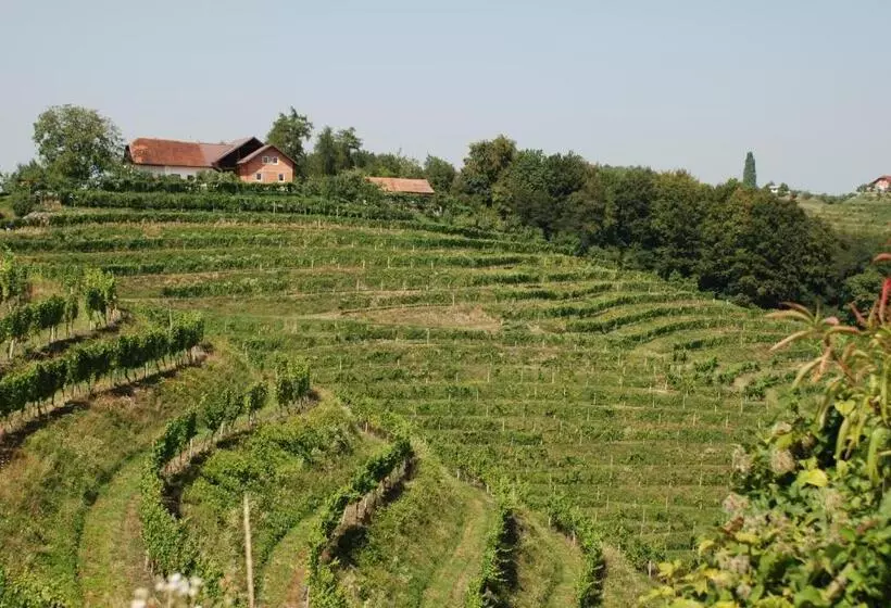 Hisa Vina