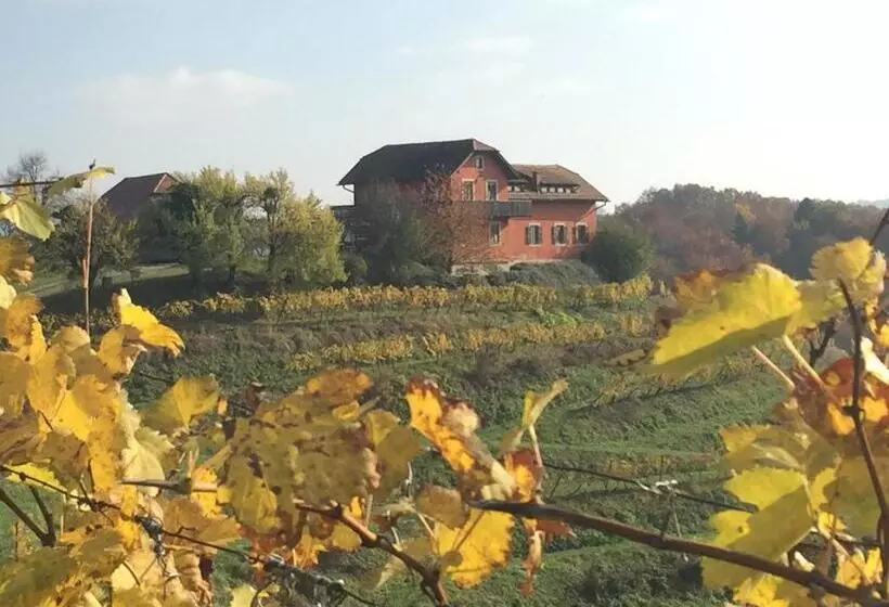 Hisa Vina